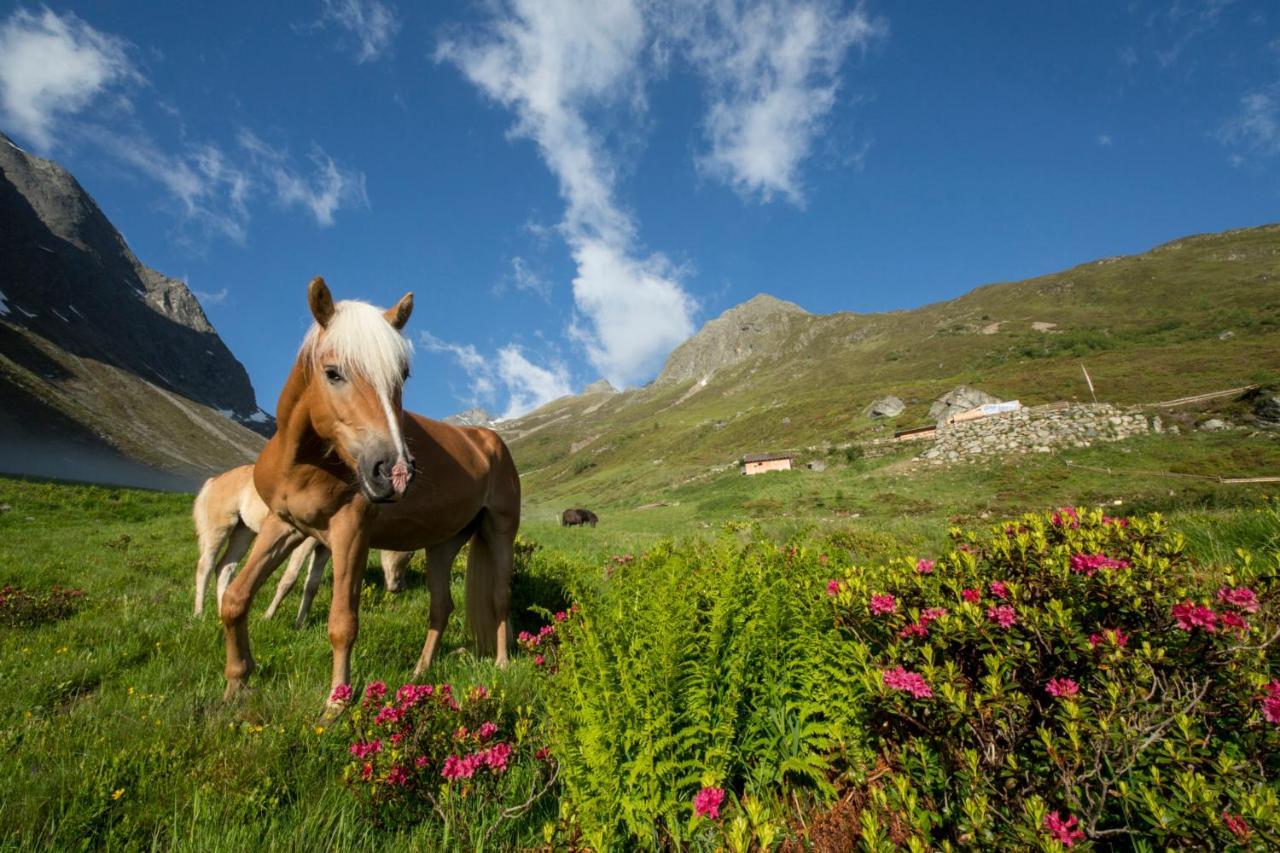 Garni Hanni Längenfeld Esterno foto
